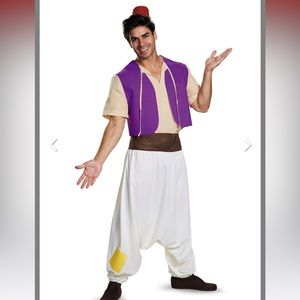 Aladdin costume